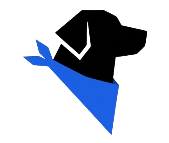 Scout